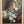 Load image into Gallery viewer, Still Life with Flowers by M. Roblie
