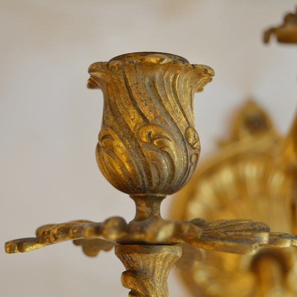 Pair of Bronze Gilt French Sconces, Late 19th Century