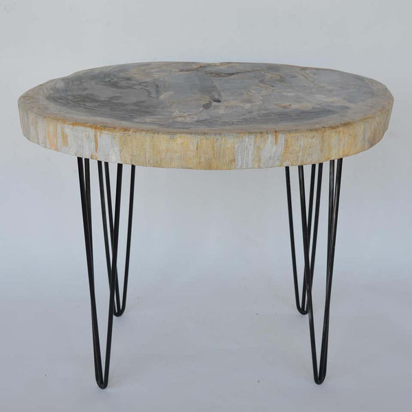 Pair of Petrified Wood Side Tables with Iron Feet, Late 20th Century