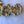 Load image into Gallery viewer, Late 19th Century Italian Hand Carved 22-Karat Gold Coat Hanger
