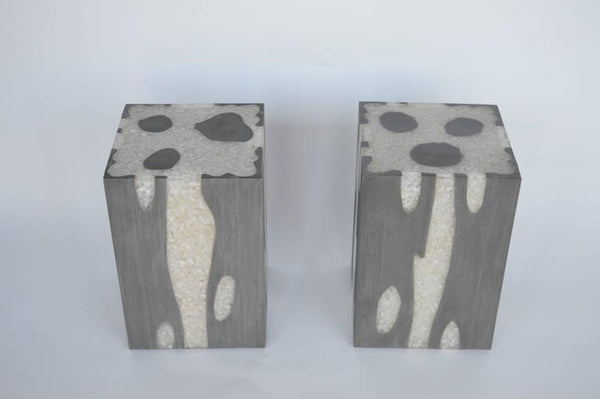 Pair of Resin and Wood Stools/Side Tables