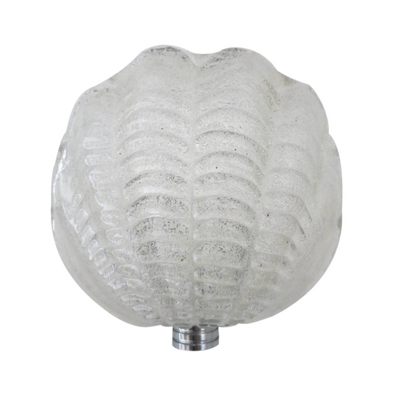 Set of 15 Vintage Sea Shell Sconce w/ Clear Murano Glass, Designed by Mazzega, 1960s
