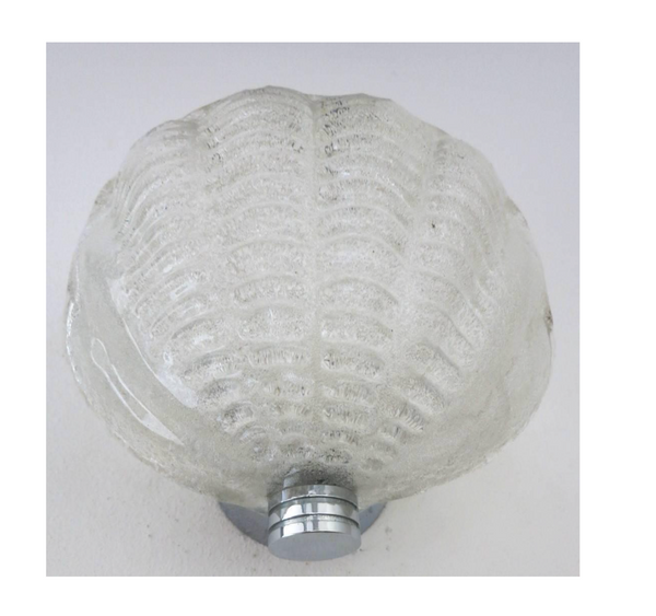 Set of 15 Vintage Sea Shell Sconce w/ Clear Murano Glass, Designed by Mazzega, 1960s