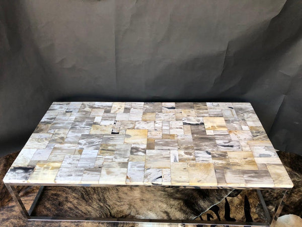 Petrified Wood Top Coffee Tables